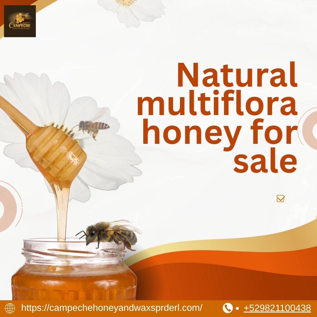 Natural Multiflora Honey for Sale