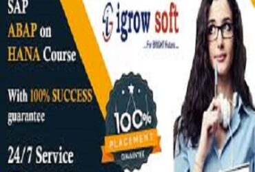SAP ABAP on HANA| SAP S4 HANA Online Training in Ameerpet | Igrowsoft