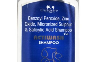 Buy Actiwash Shampoo For Pets online in India